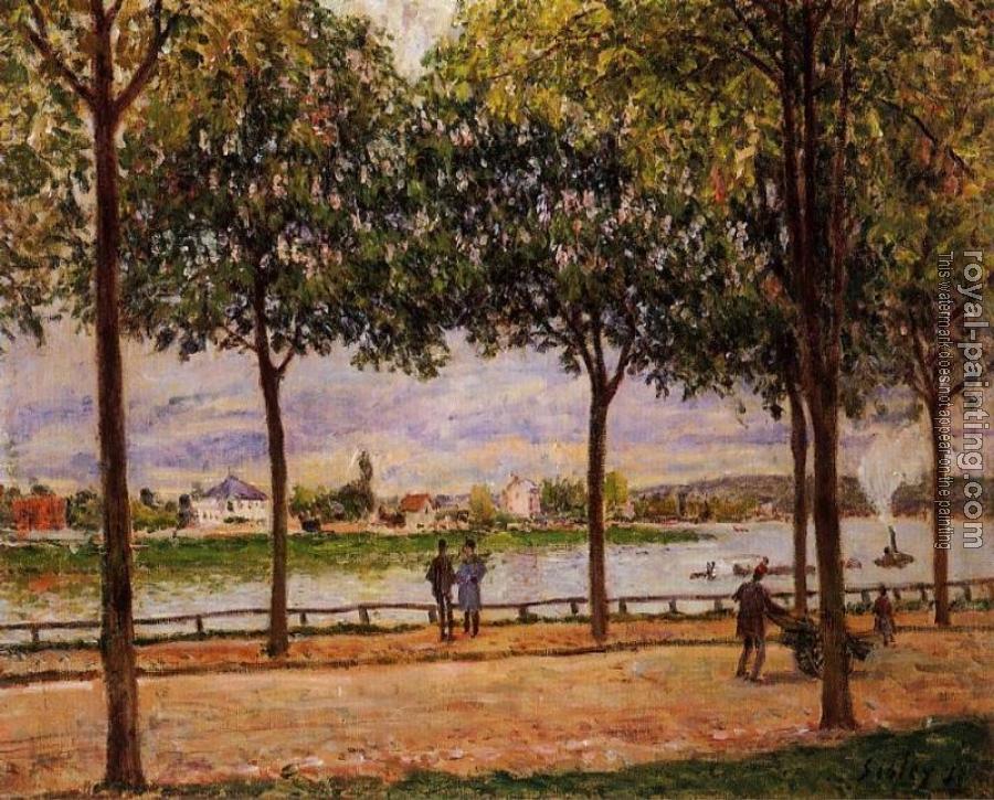 Alfred Sisley : Promenade of Chestnut Trees